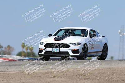 media/Oct-04-2025-OnGrid (Sat) [[44bd565ffa]]/Purple Group/Grapevine/